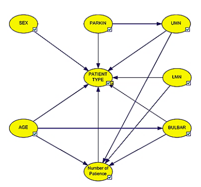 File:BN Network.png