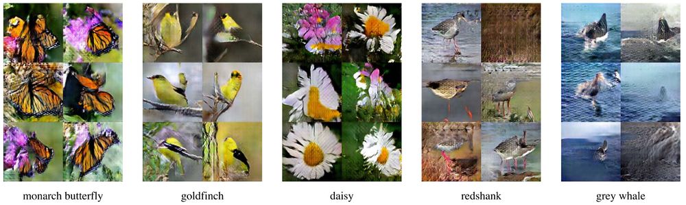 (Odena et al., 2016) Figure 1: Selected images generated by the AC-GAN model for the ImageNet dataset.